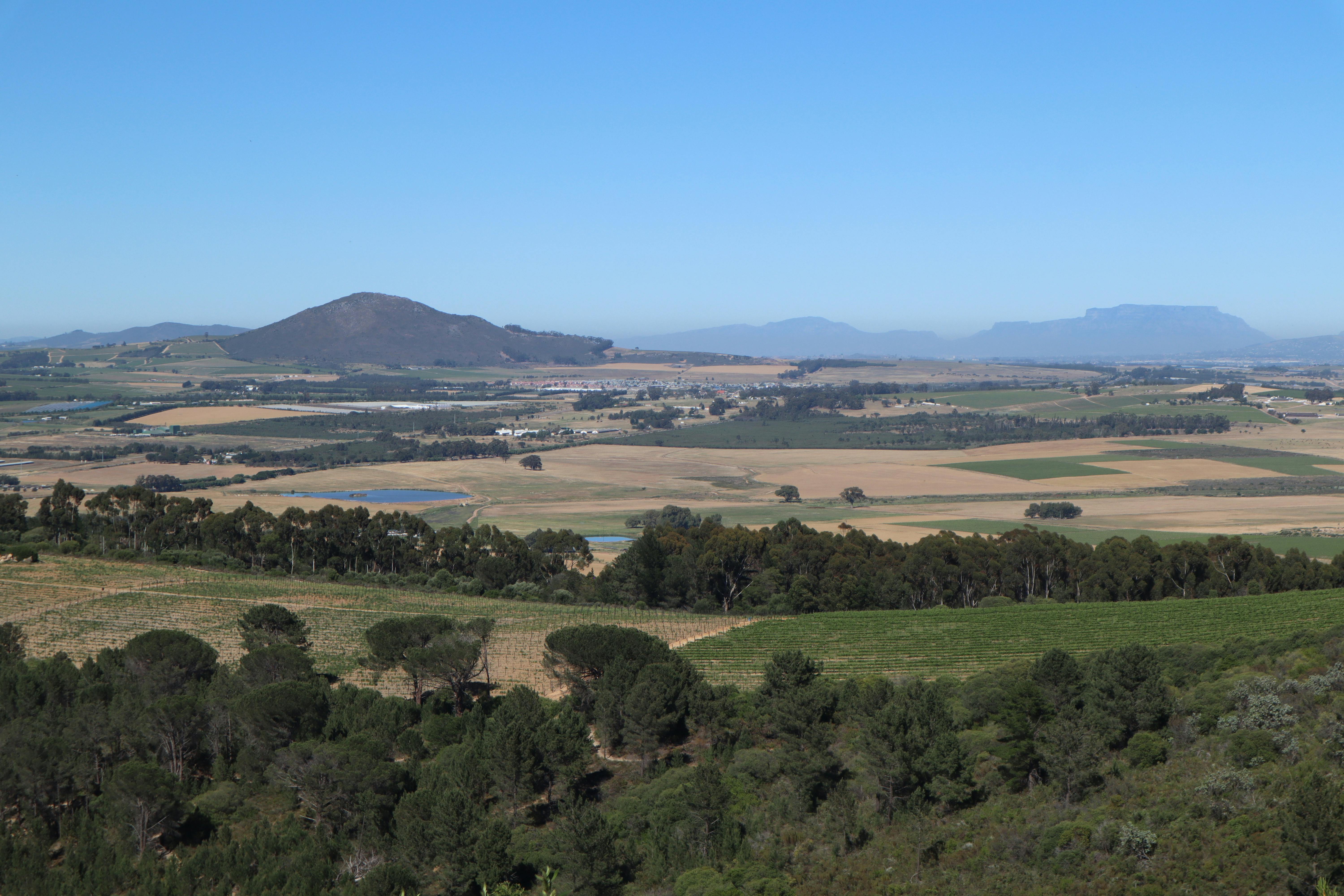 Cape Winelands