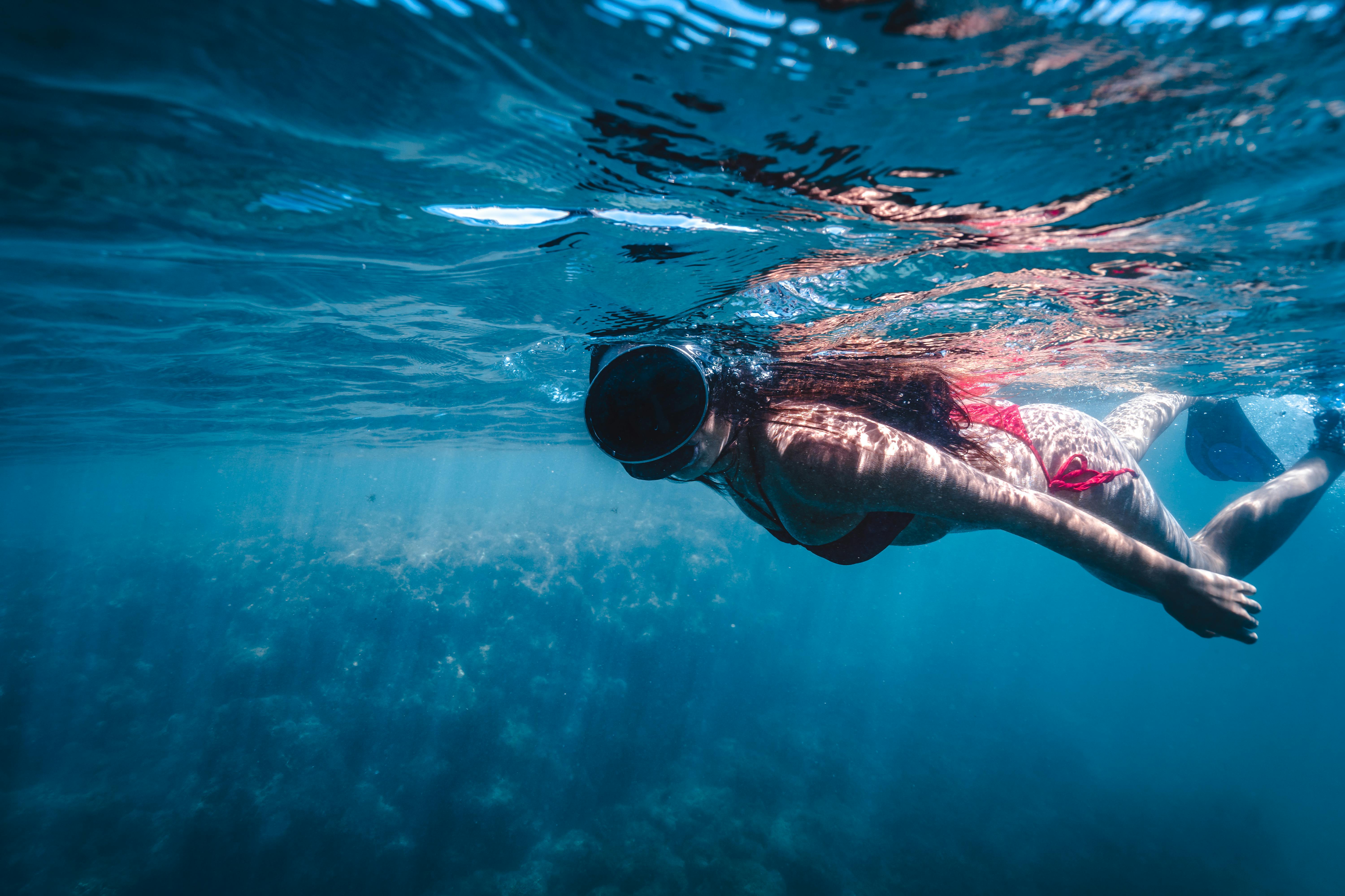 Snorkeling in Diani Beach